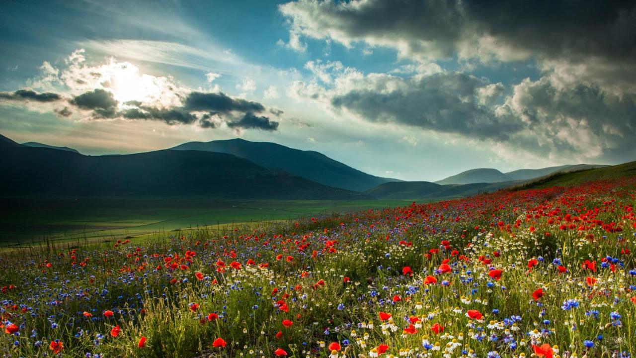 Вілла Castello Di Pupaggi Sellano Екстер'єр фото